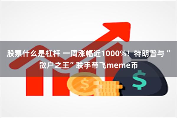 股票什么是杠杆 一周涨幅近1000%！特朗普与“散户之王”联手带飞meme币