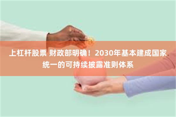 上杠杆股票 财政部明确！2030年基本建成国家统一的可持续披露准则体系