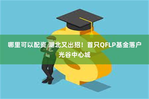 哪里可以配资 湖北又出招！首只QFLP基金落户光谷中心城