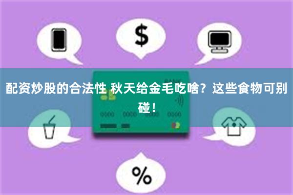 配资炒股的合法性 秋天给金毛吃啥？这些食物可别碰！