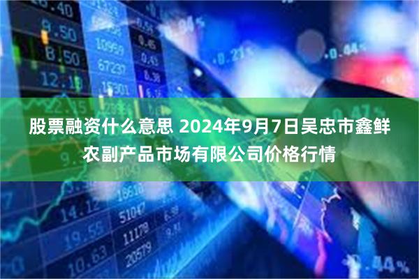 股票融资什么意思 2024年9月7日吴忠市鑫鲜农副产品市场有限公司价格行情