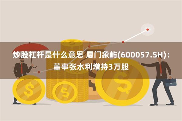 炒股杠杆是什么意思 厦门象屿(600057.SH)：董事张水利增持3万股