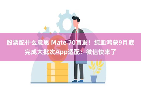 股票配什么意思 Mate 70首发！纯血鸿蒙9月底完成大批次App适配：微信快来了