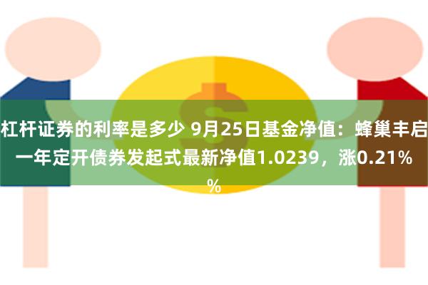 杠杆证券的利率是多少 9月25日基金净值：蜂巢丰启一年定开债券发起式最新净值1.0239，涨0.21%