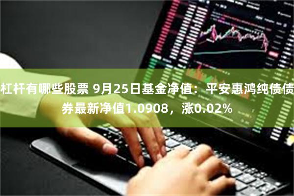 杠杆有哪些股票 9月25日基金净值：平安惠鸿纯债债券最新净值1.0908，涨0.02%