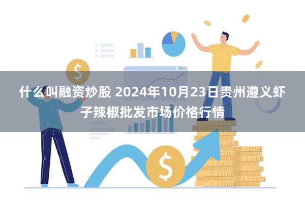 什么叫融资炒股 2024年10月23日贵州遵义虾子辣椒批发市场价格行情