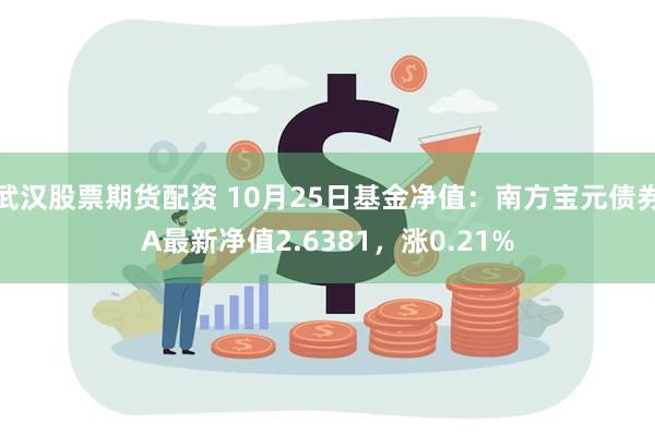 武汉股票期货配资 10月25日基金净值：南方宝元债券A最新净值2.6381，涨0.21%