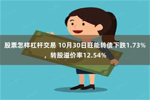 股票怎样杠杆交易 10月30日旺能转债下跌1.73%，转股溢价率12.54%