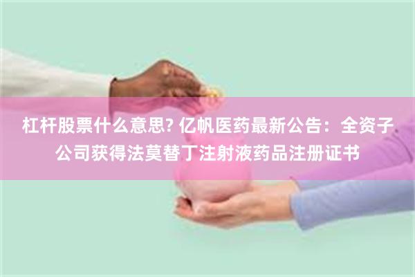 杠杆股票什么意思? 亿帆医药最新公告：全资子公司获得法莫替丁注射液药品注册证书