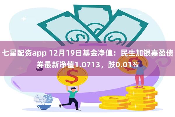 七星配资app 12月19日基金净值：民生加银嘉盈债券最新净值1.0713，跌0.01%