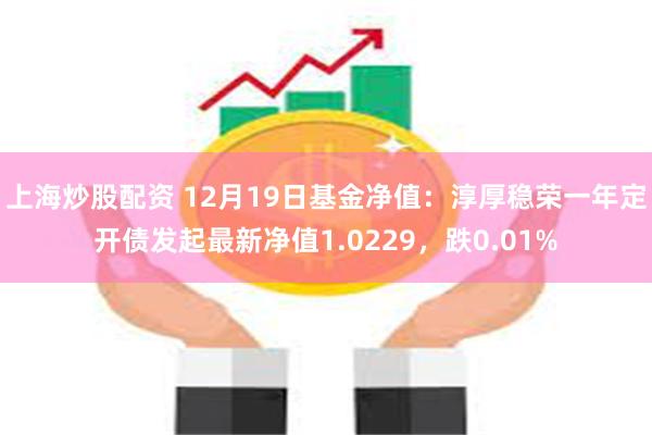 上海炒股配资 12月19日基金净值：淳厚稳荣一年定开债发起最新净值1.0229，跌0.01%