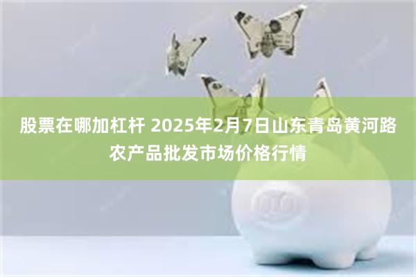 股票在哪加杠杆 2025年2月7日山东青岛黄河路农产品批发市场价格行情